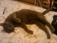IMG 20111112 173353