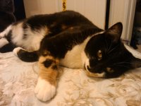 IMG 20111112 181937