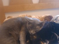 IMG 20111209 151539