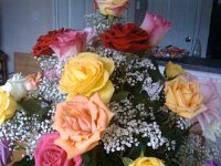 IMG 20120318 175858