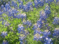 IMG 20120326 151427