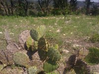 IMG 20120326 151746