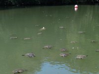 IMG 20120923 125235