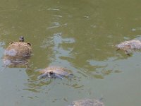 IMG 20120923 125404