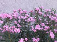 IMG 20120927 093159