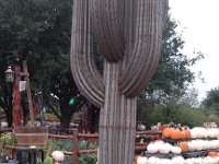 IMG 20120929 111610