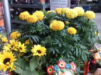 IMG 20121006 150043