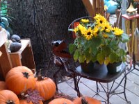 IMG 20121006 153335