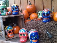 IMG 20121006 153424