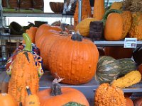 IMG 20121006 153520