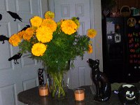 IMG 20121021 153316