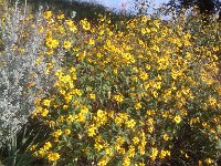 IMG 20121023 160814