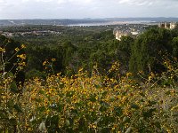 IMG 20121023 161236
