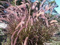 IMG 20121028 121150