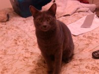 IMG 20121113 204909