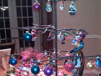 IMG 20121124 183812