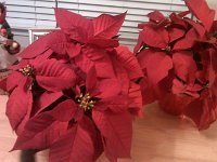 IMG 20121207 182740