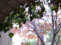 IMG 20121229 150719