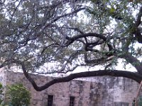 IMG 20121229 150729