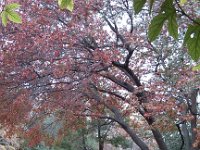 IMG 20121229 150802