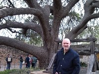 IMG 20121229 152453
