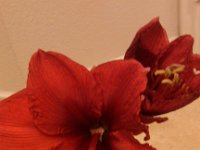 IMG 20130109 165650