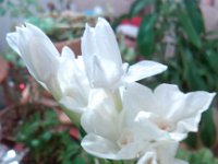 IMG 20130114 180154