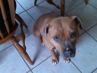 IMG 20130126 102549