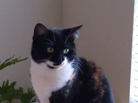 IMG 20130210 152124