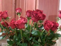 IMG 20130214 201601