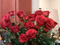 IMG 20130214 201658