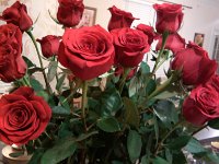 IMG 20130214 201848