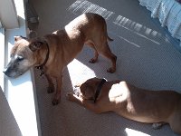 IMG 20130216 113636