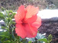 IMG 20130317 173639