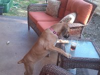 IMG 20130317 174539