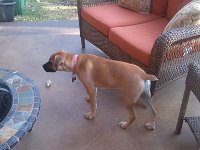 IMG 20130317 174548