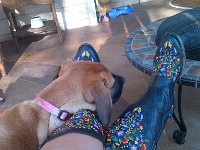 IMG 20130317 175937
