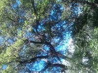 IMG 20130411 172236