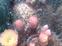IMG 20130420 124154