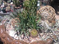 IMG 20130420 124231