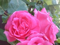 IMG 20130420 194308