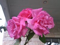 IMG 20130420 194322
