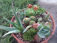 IMG 20130420 194416