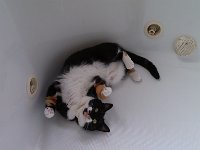 IMG 20130527 110222