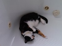 IMG 20130527 110227