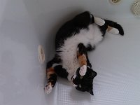 IMG 20130527 110246