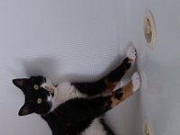 IMG 20130527 110256