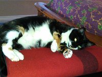 IMG 20130818 185326