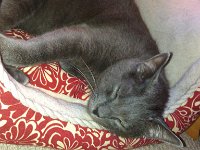 IMG 20130818 185354