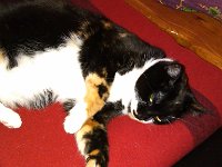 IMG 20130818 185432